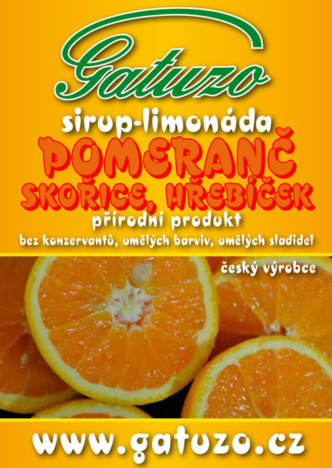 Gatuzo sirup - Pomeranč se skořicí
