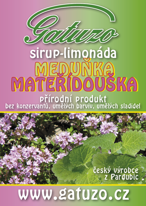 Gatuzo sirup - Meduňka a mateřídouška